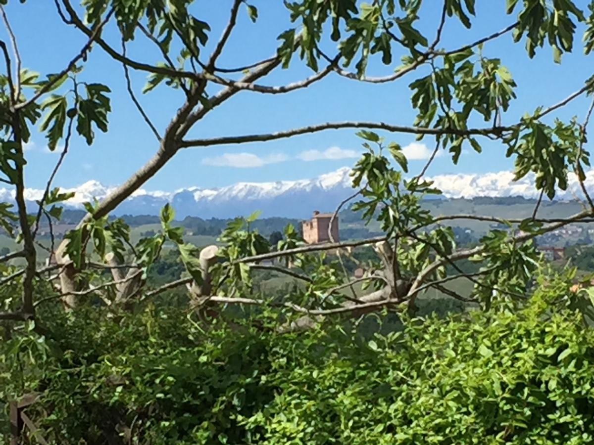 Cascina Baresane Alba (Piedmont) Exterior foto