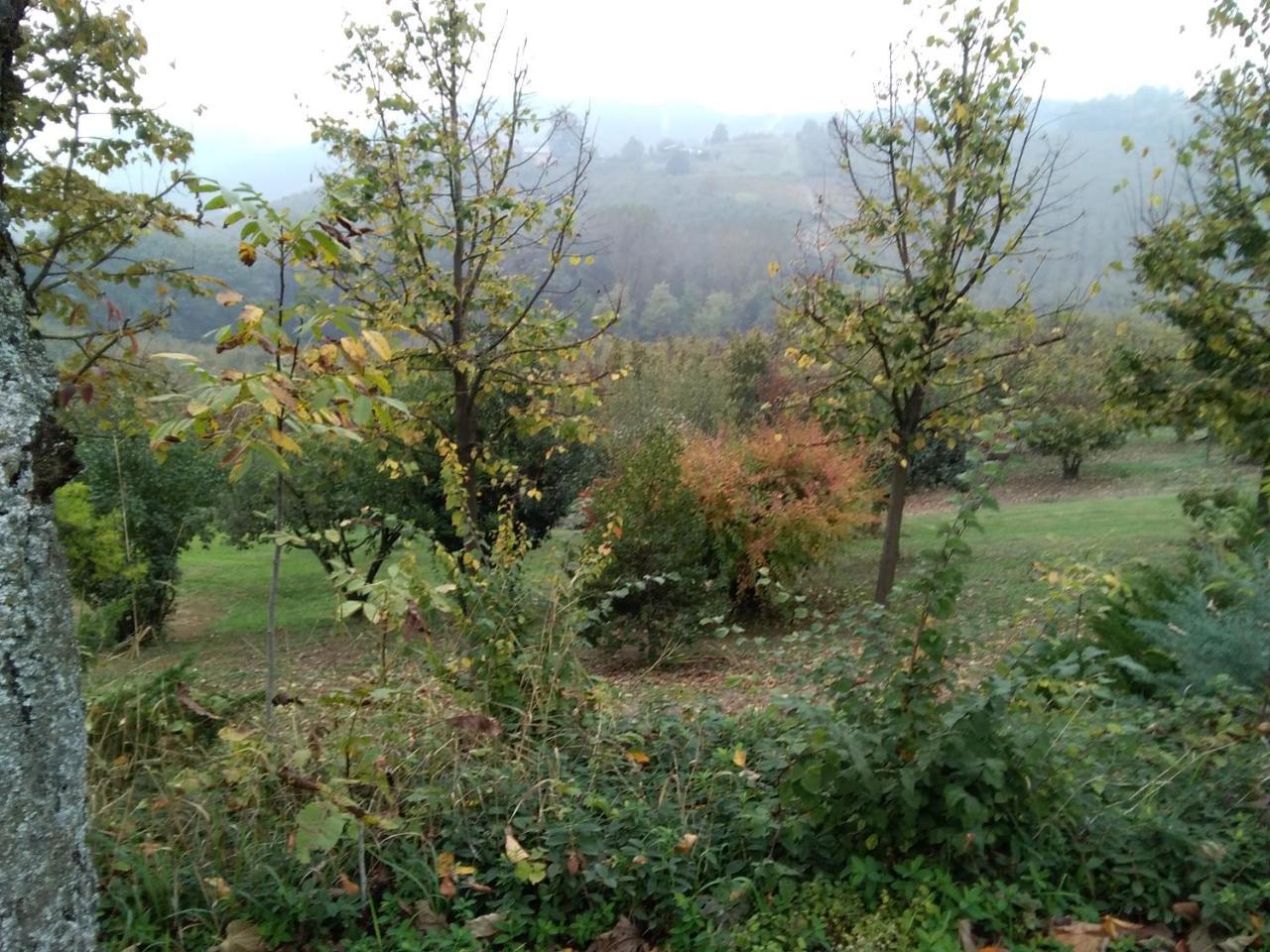 Cascina Baresane Alba (Piedmont) Exterior foto